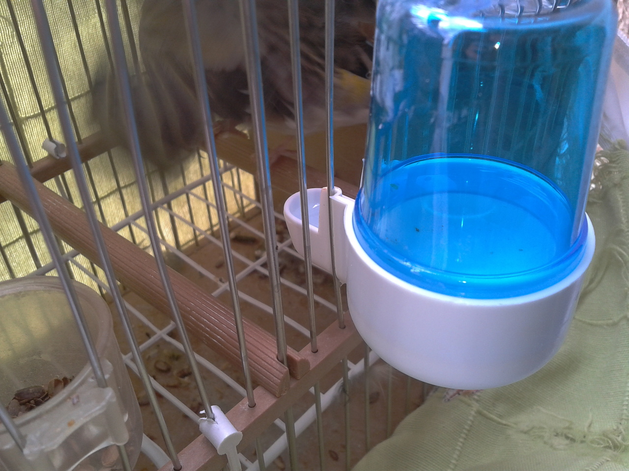 2013-09-12 11.15.39.jpg