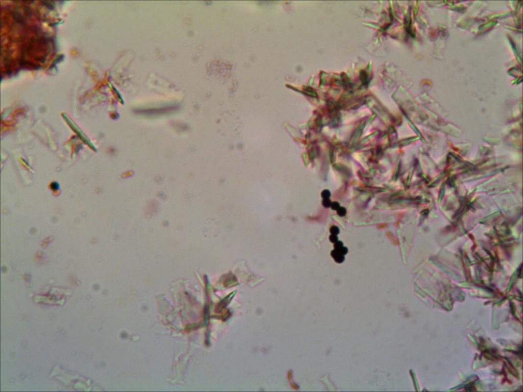 TS_11_16_21_45_32.jpg