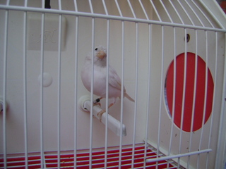 DSC01642.JPG
