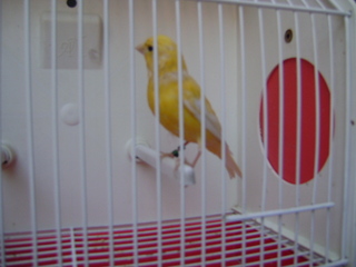 DSC01641.JPG