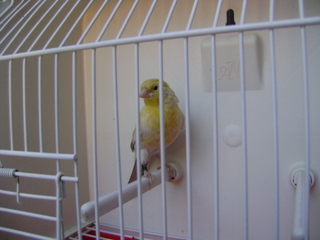 DSC01639.JPG