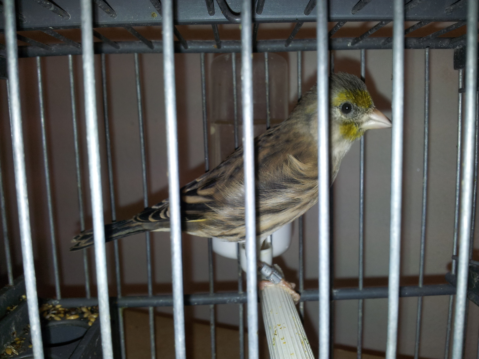 20130914_205231.jpg