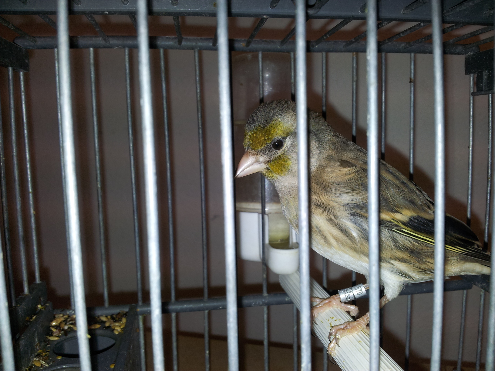 20130914_205225.jpg