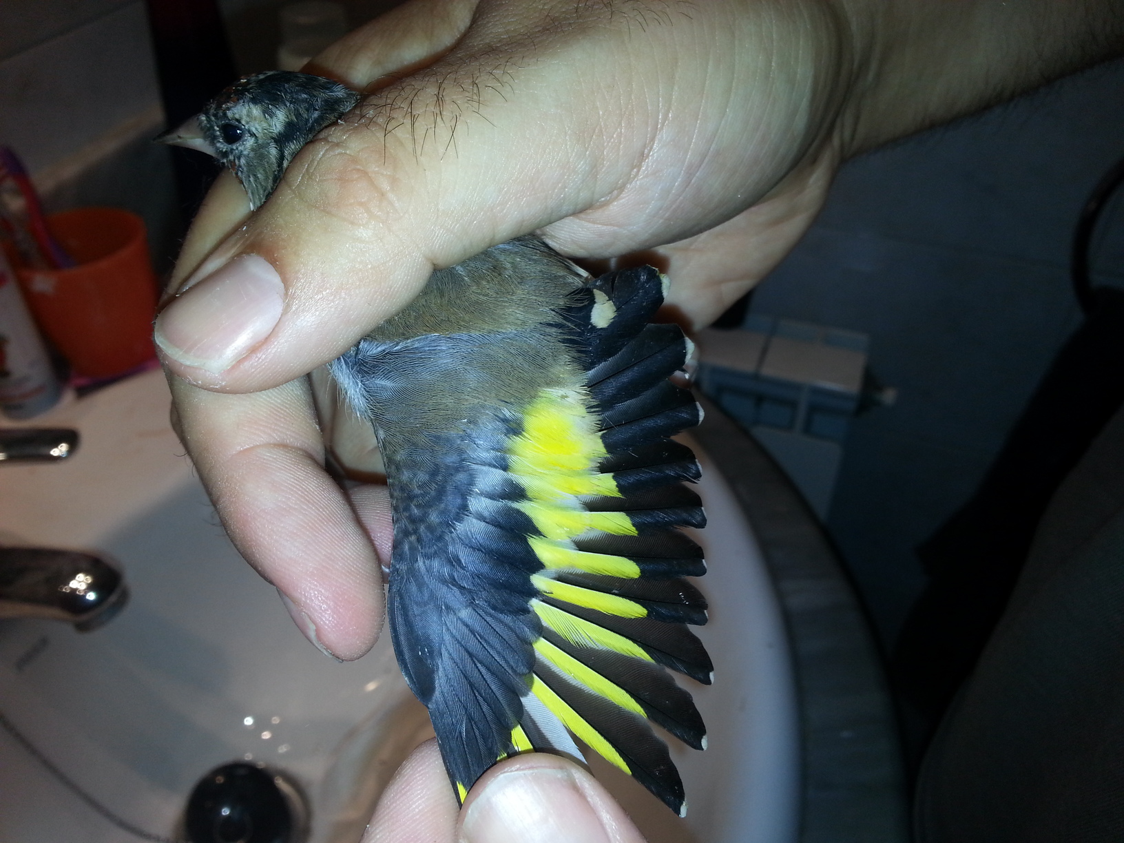 20130918_184757.jpg