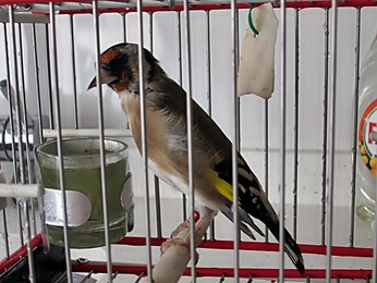 IMG_0005.JPG