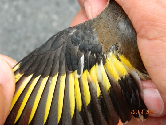 N3.jpg