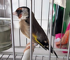 IMG_0001.JPG