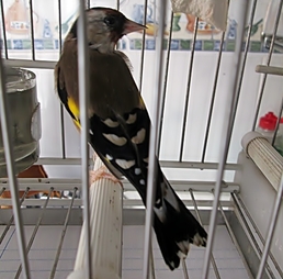 IMG_0017.JPG