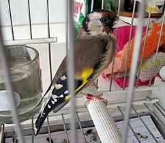 IMG_0005.JPG