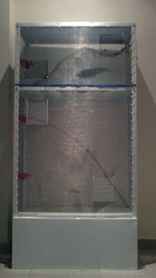 IMG-20130926-WA0001.jpg