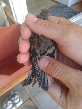 2013-10-01 17.43.26.jpg