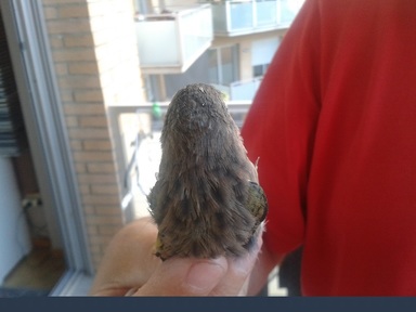 2013-10-01 17.44.28.jpg