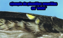 imagen-5.jpg