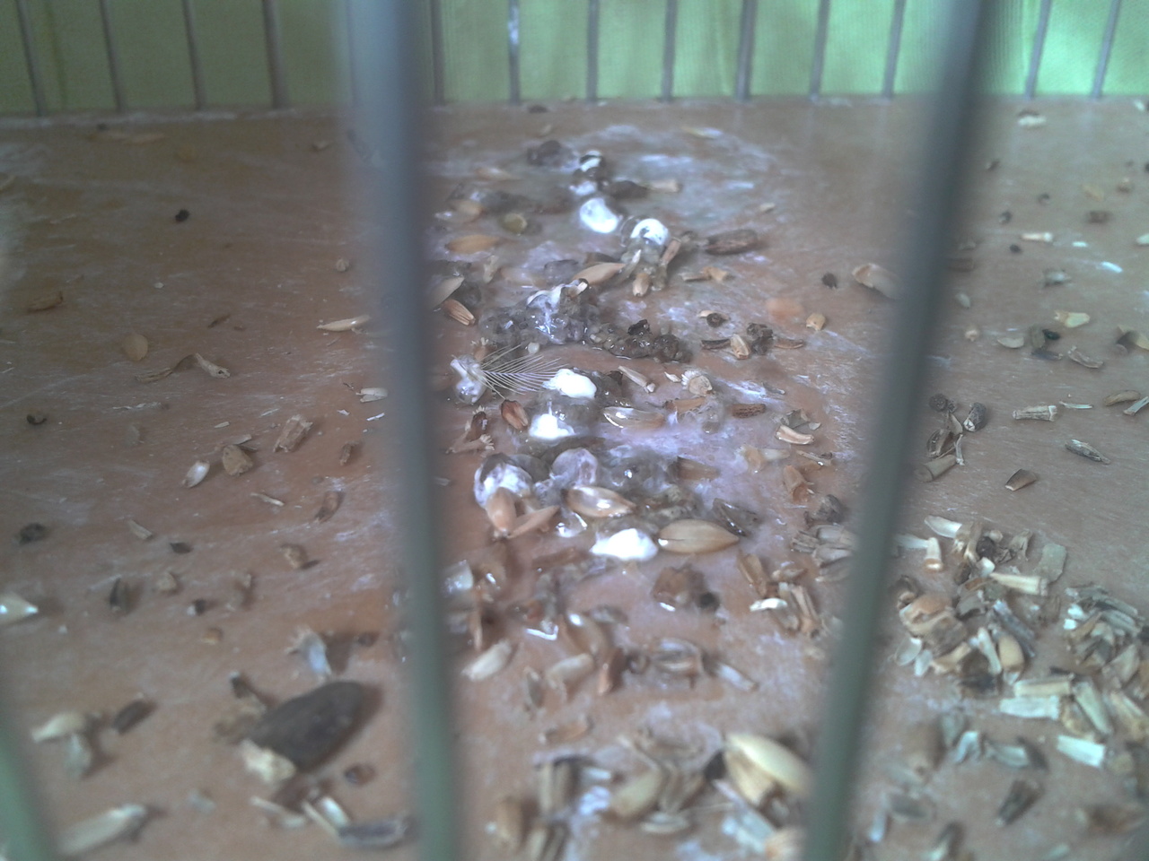 2013-10-03 16.27.14.jpg