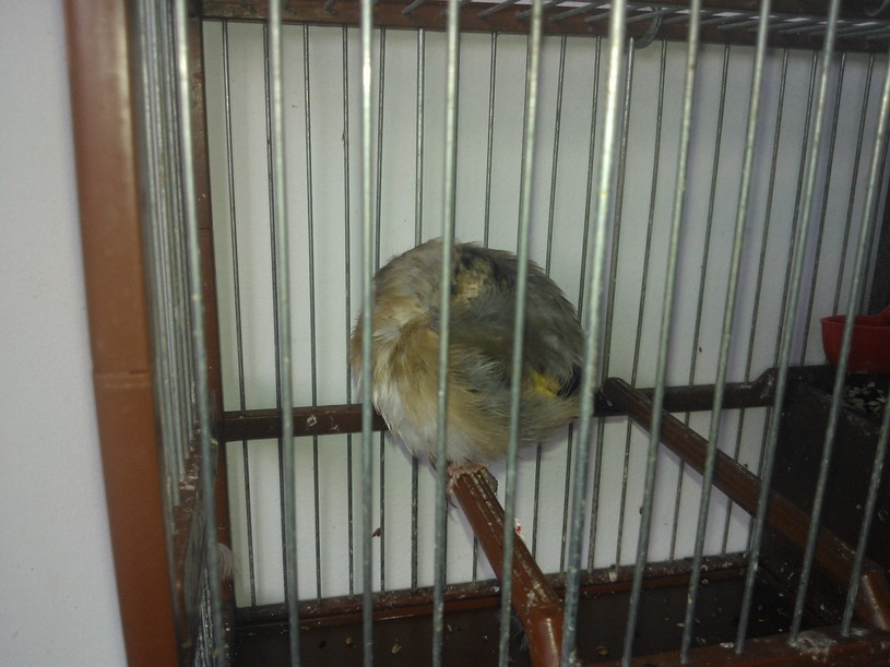 WP_001714.jpg
