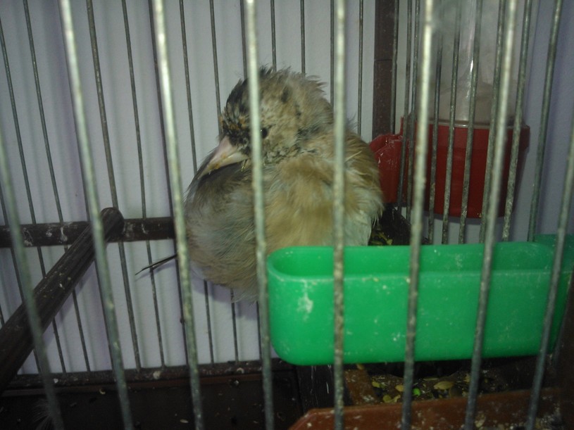 WP_001713.jpg