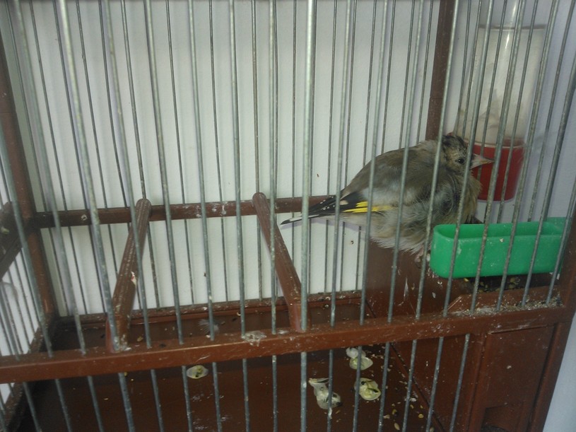 WP_001712.jpg