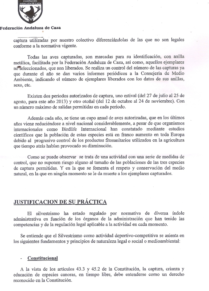 manifiesto 5.jpg