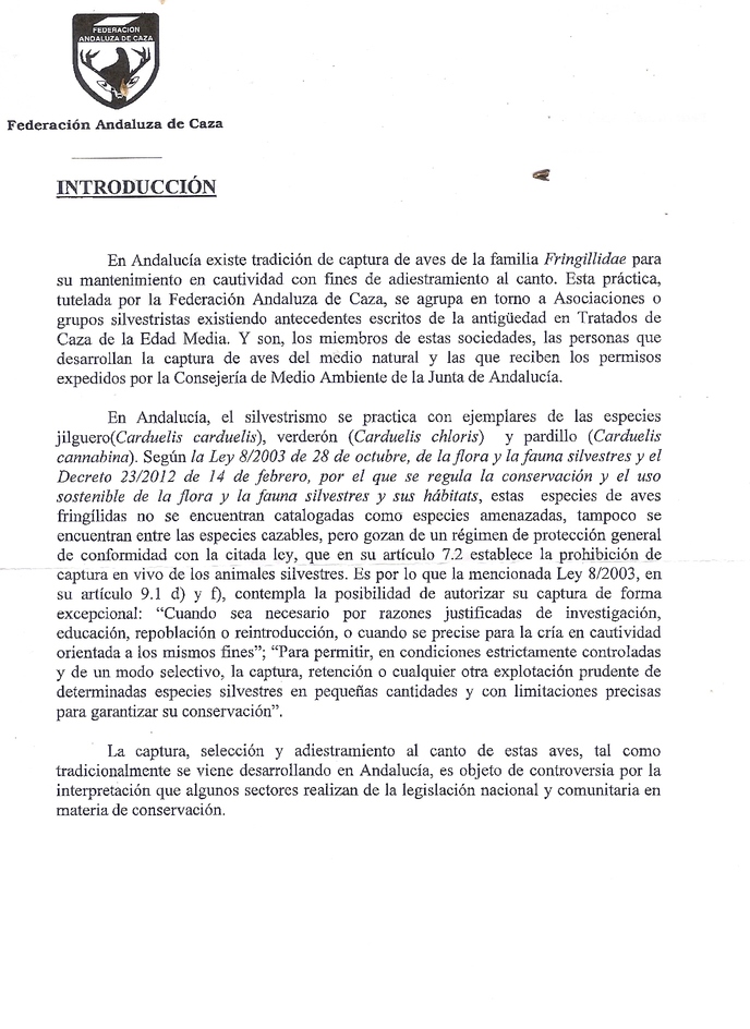 manifiesto 2.jpg