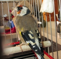 IMG_0179.JPG