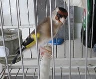 IMG_0326.JPG