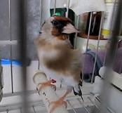 IMG_0347.JPG