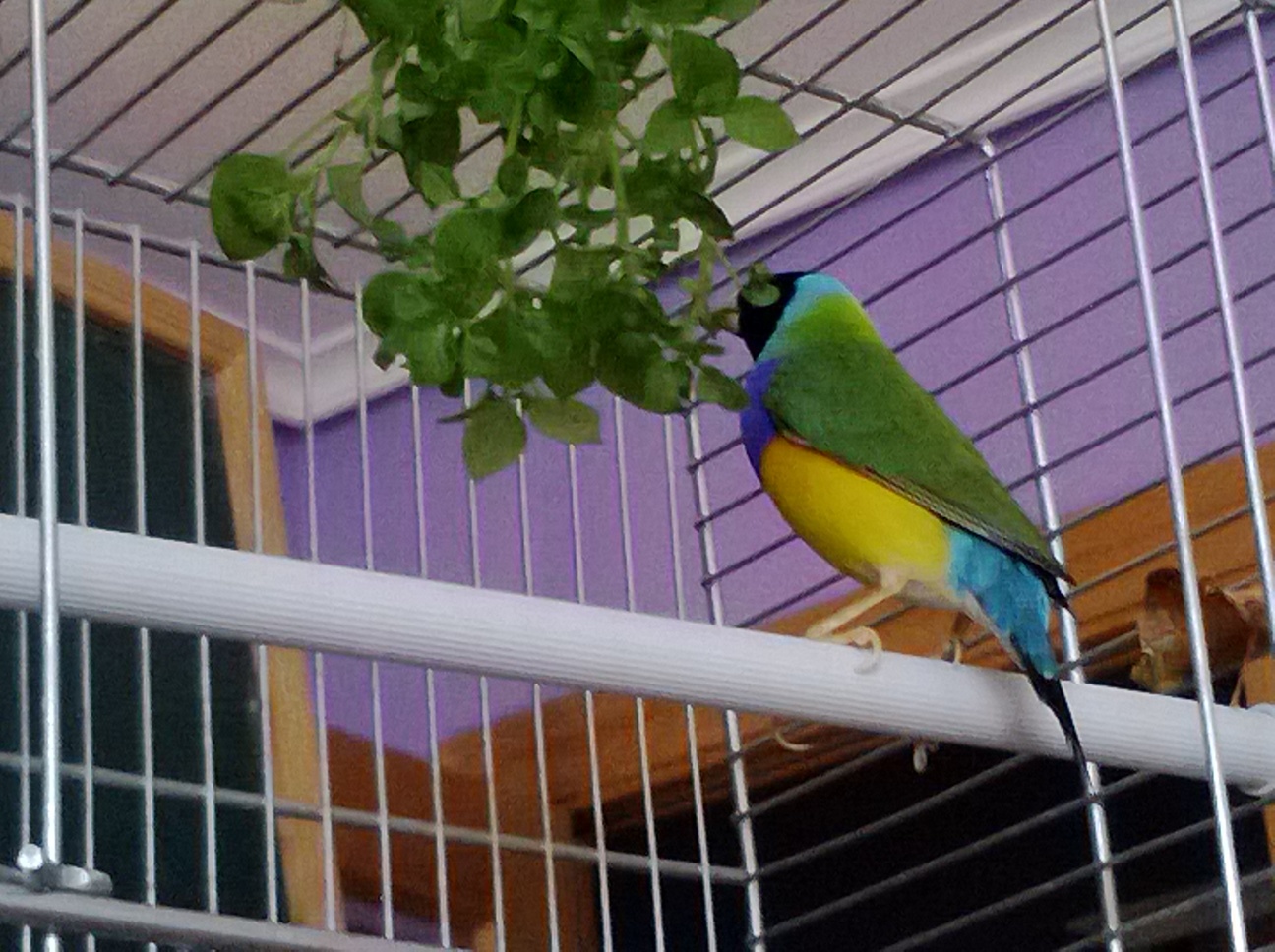 WP_20131008_020.jpg