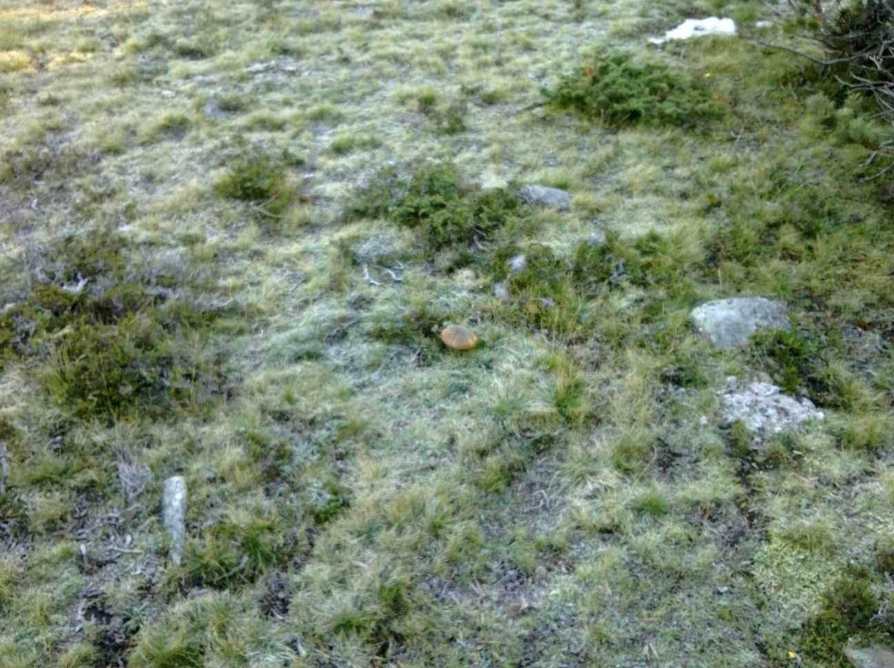 WP_20131009_002.jpg