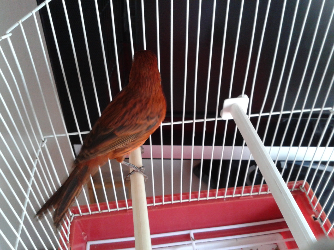 20131012_141448.jpg