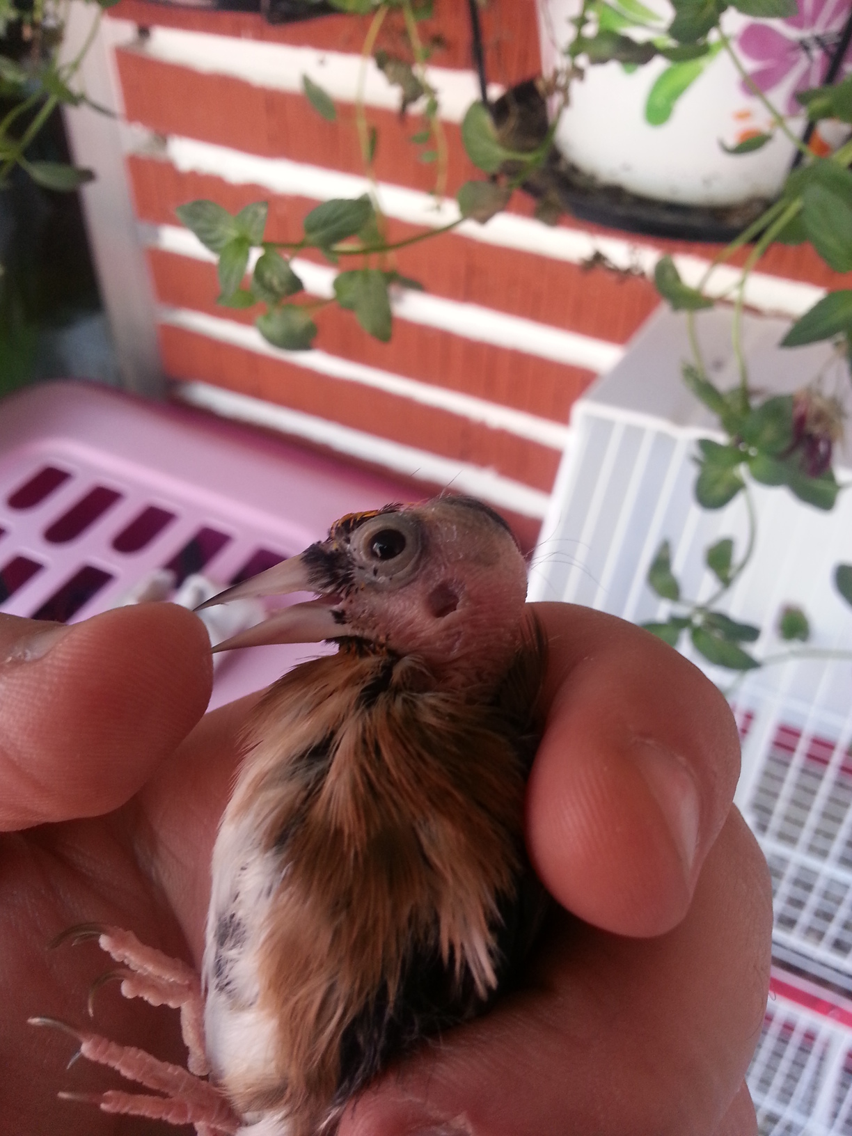 20130901_140419.jpg