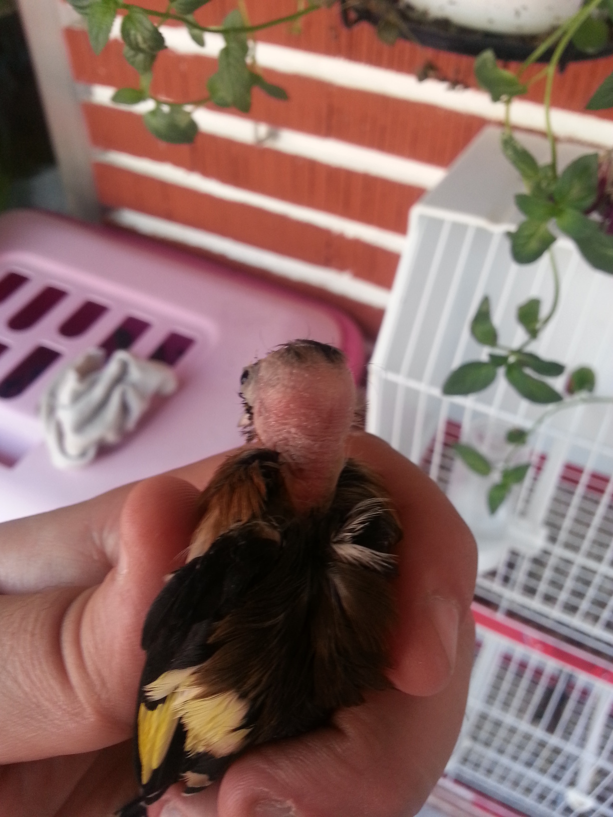 20130901_140406.jpg