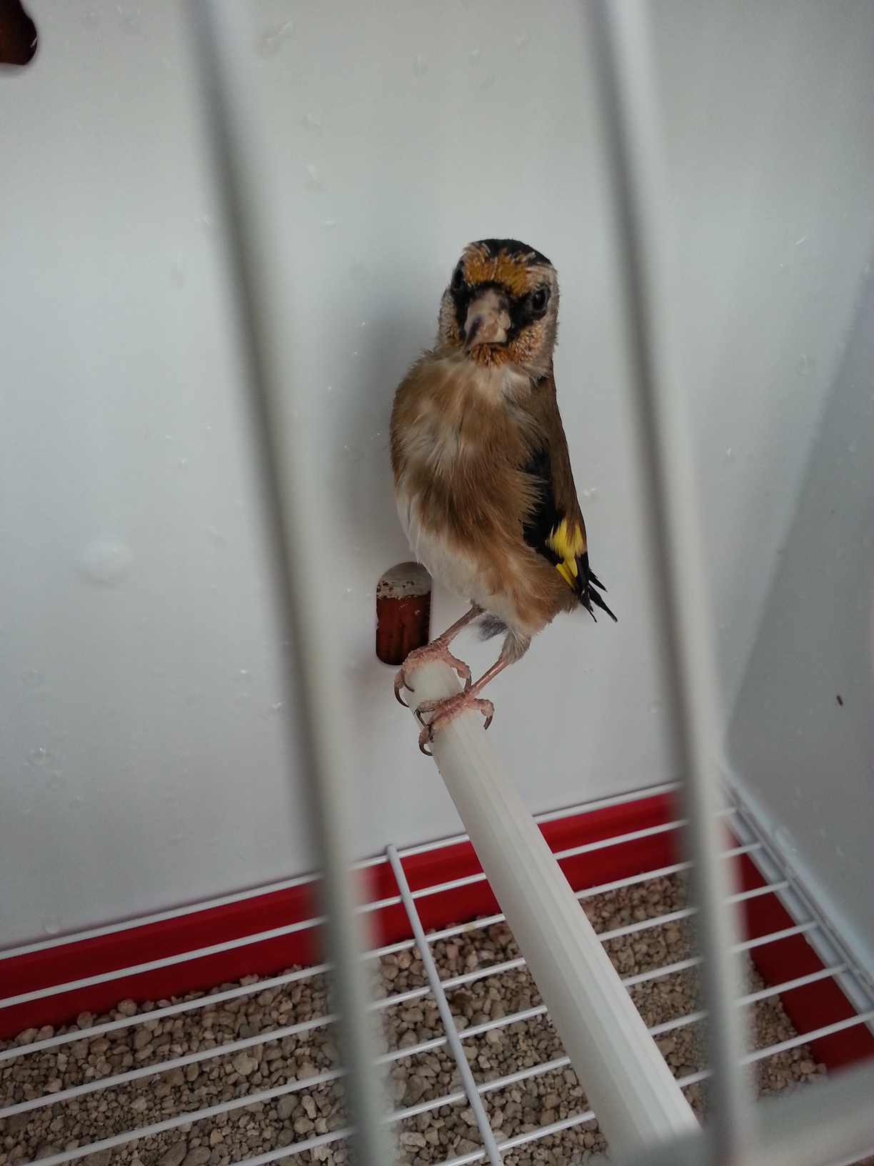 20131013_121540.jpg