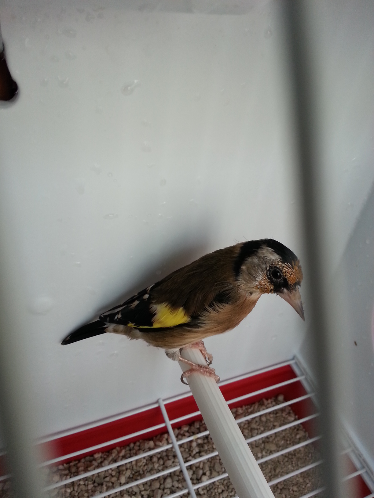 20131013_121553.jpg