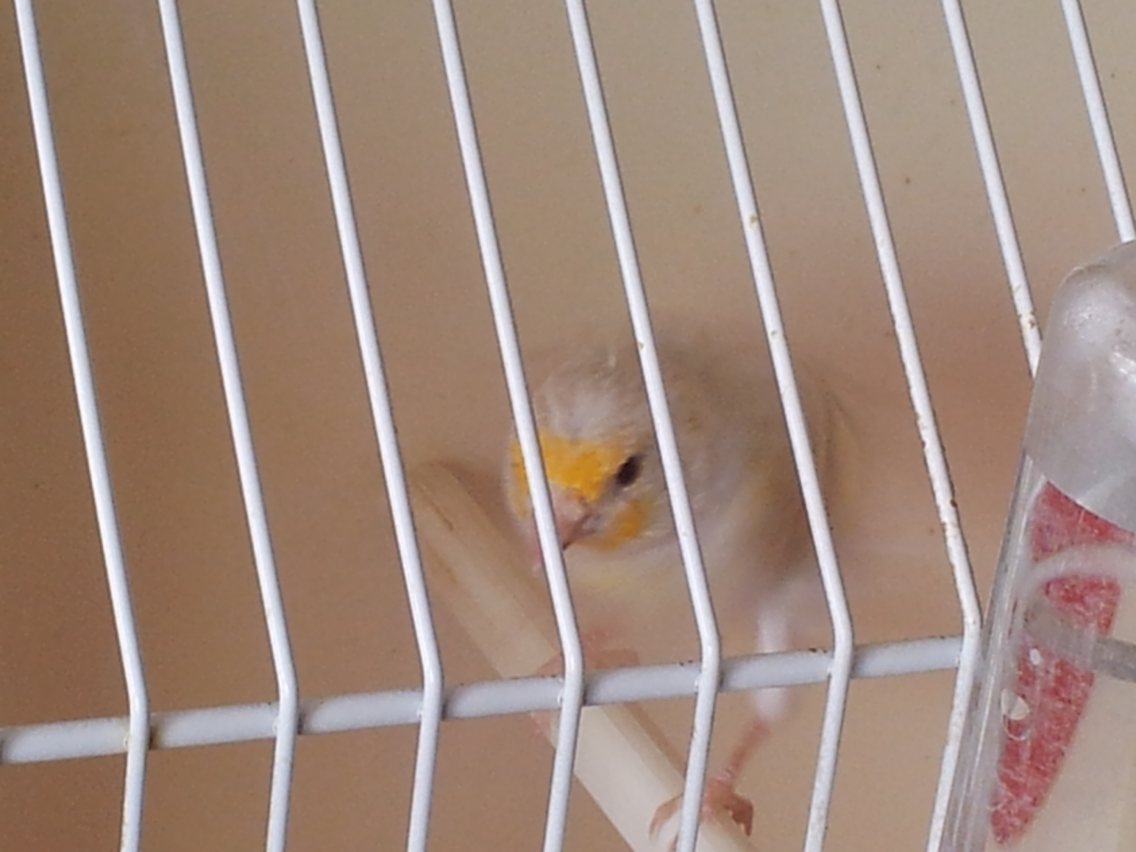 20131013_115147.jpg