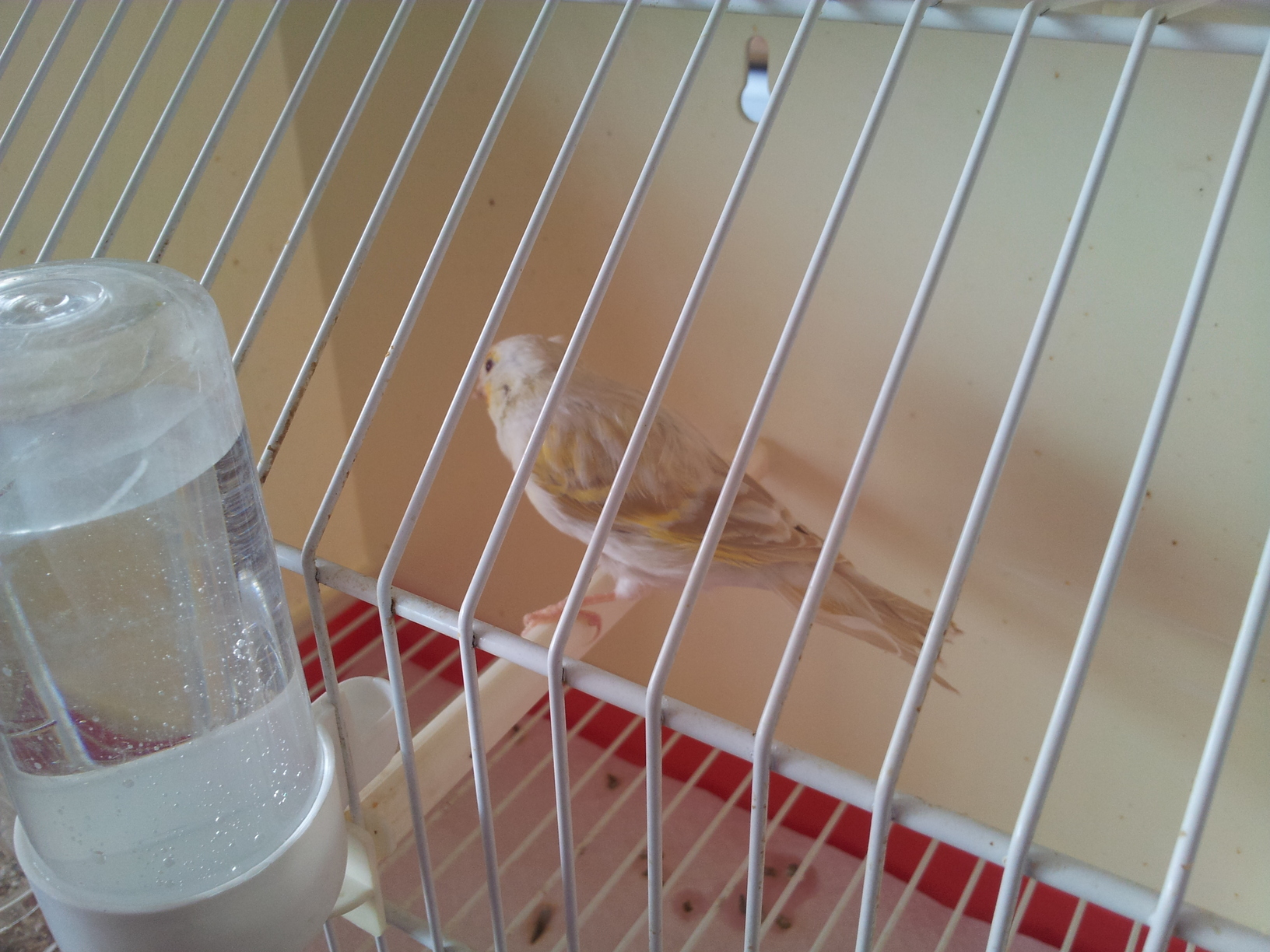 20131013_115157.jpg