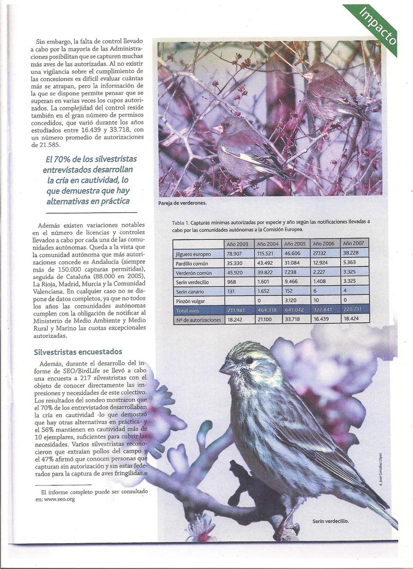 Articulo seo 2.jpg