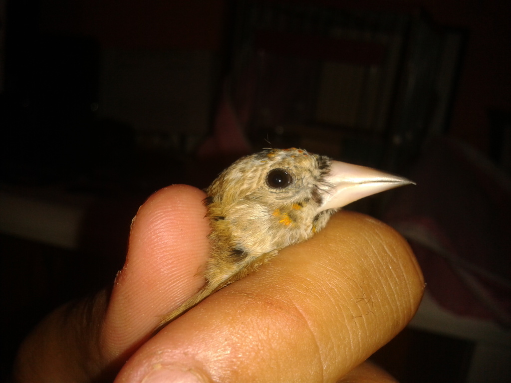 2013-10-14 19.16.42.jpg