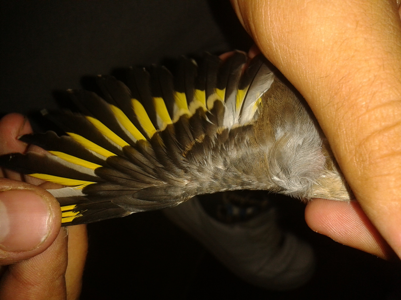 2013-10-14 19.23.57.jpg