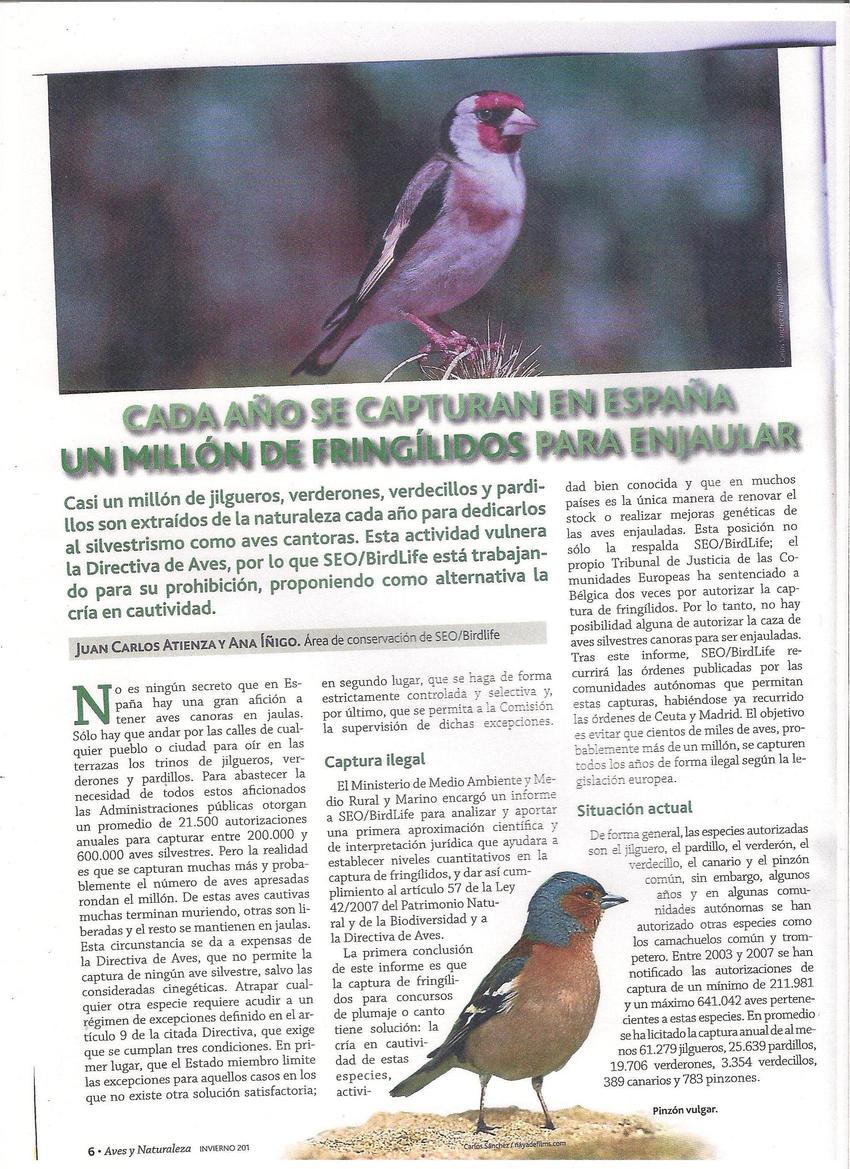 Articulo seo.jpg