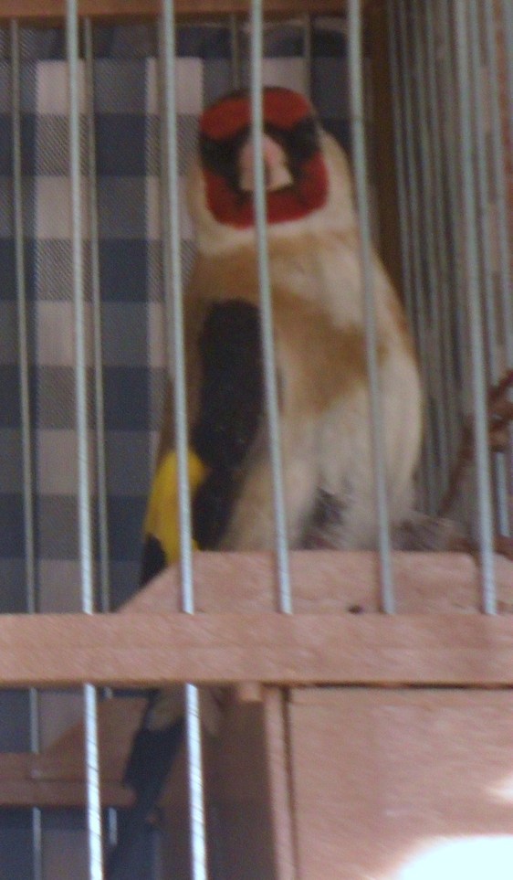 SAM_0292.JPG