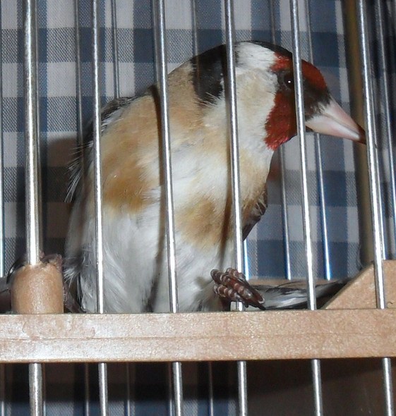 SAM_0295.JPG
