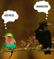 jajajajaja.JPG