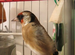 IMG_0880.JPG