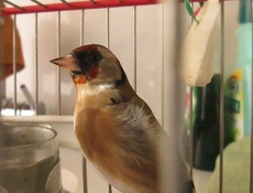 IMG_0879.JPG