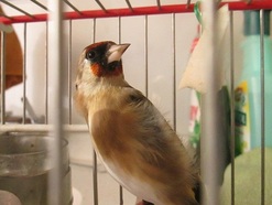 IMG_0878.JPG