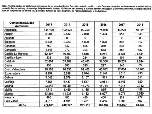 recortes de capturas 2.jpg