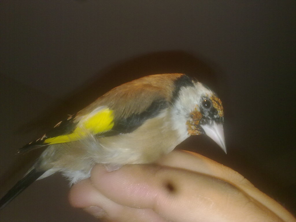 211020131271.jpg