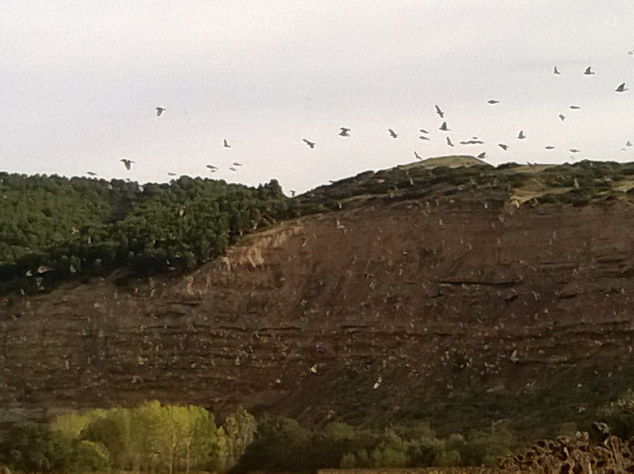 WP_20131012_009.jpg