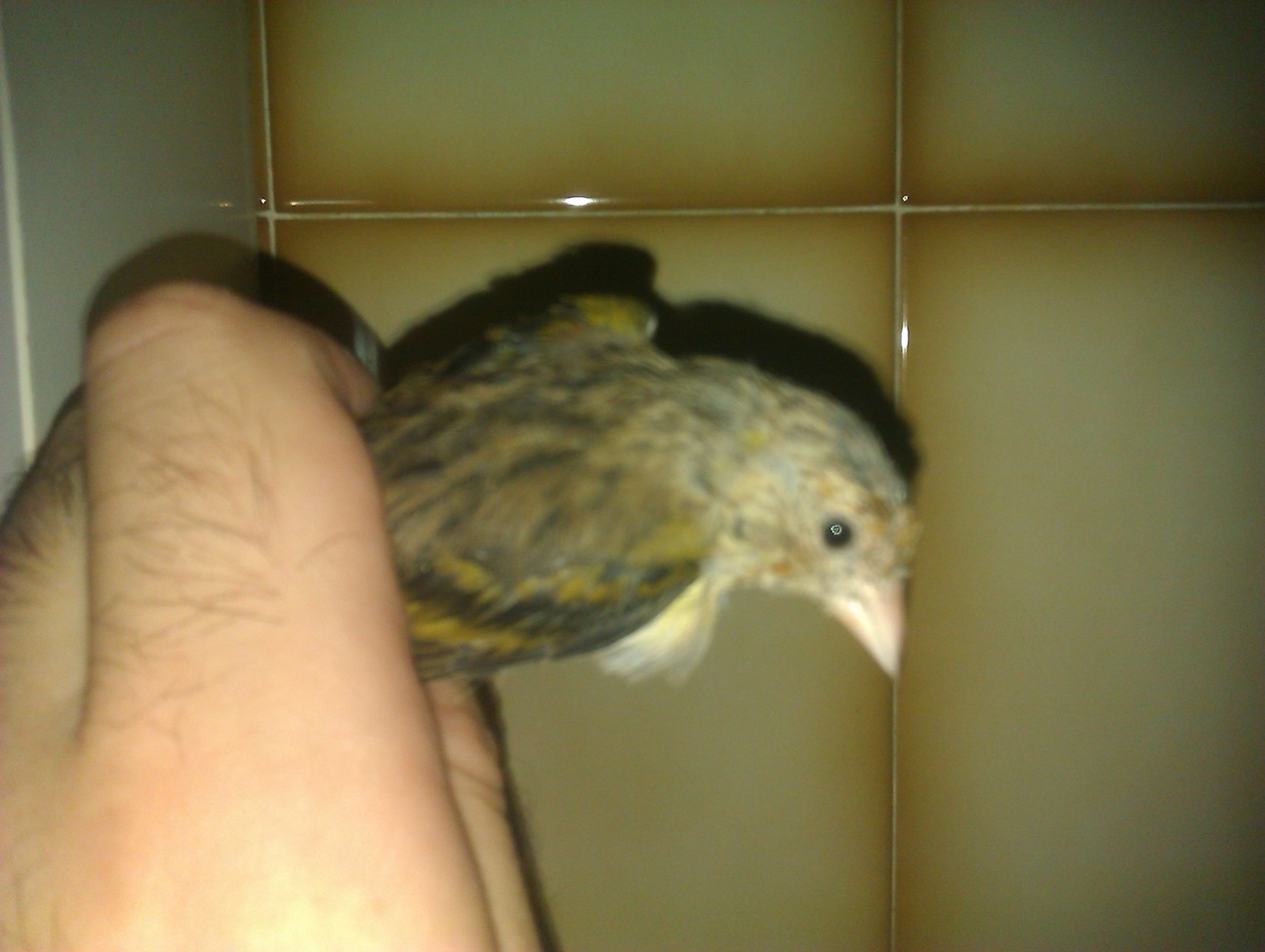 IMAG0206.jpg