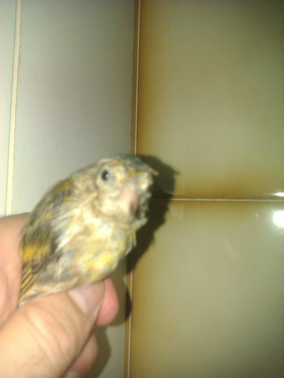 IMAG0205.jpg